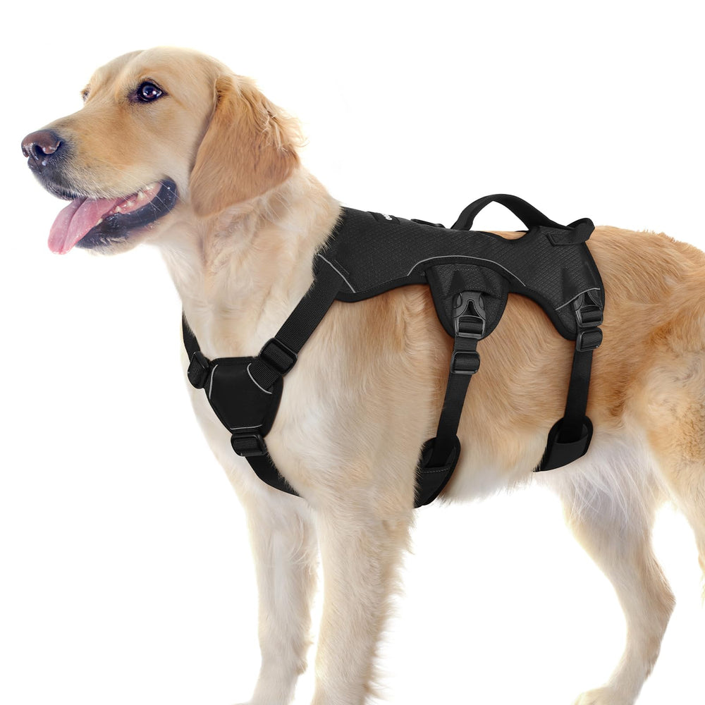 Rabbitgoo Escape-Proof Harness setup demonstrates secure fit for escape-prone large dogs