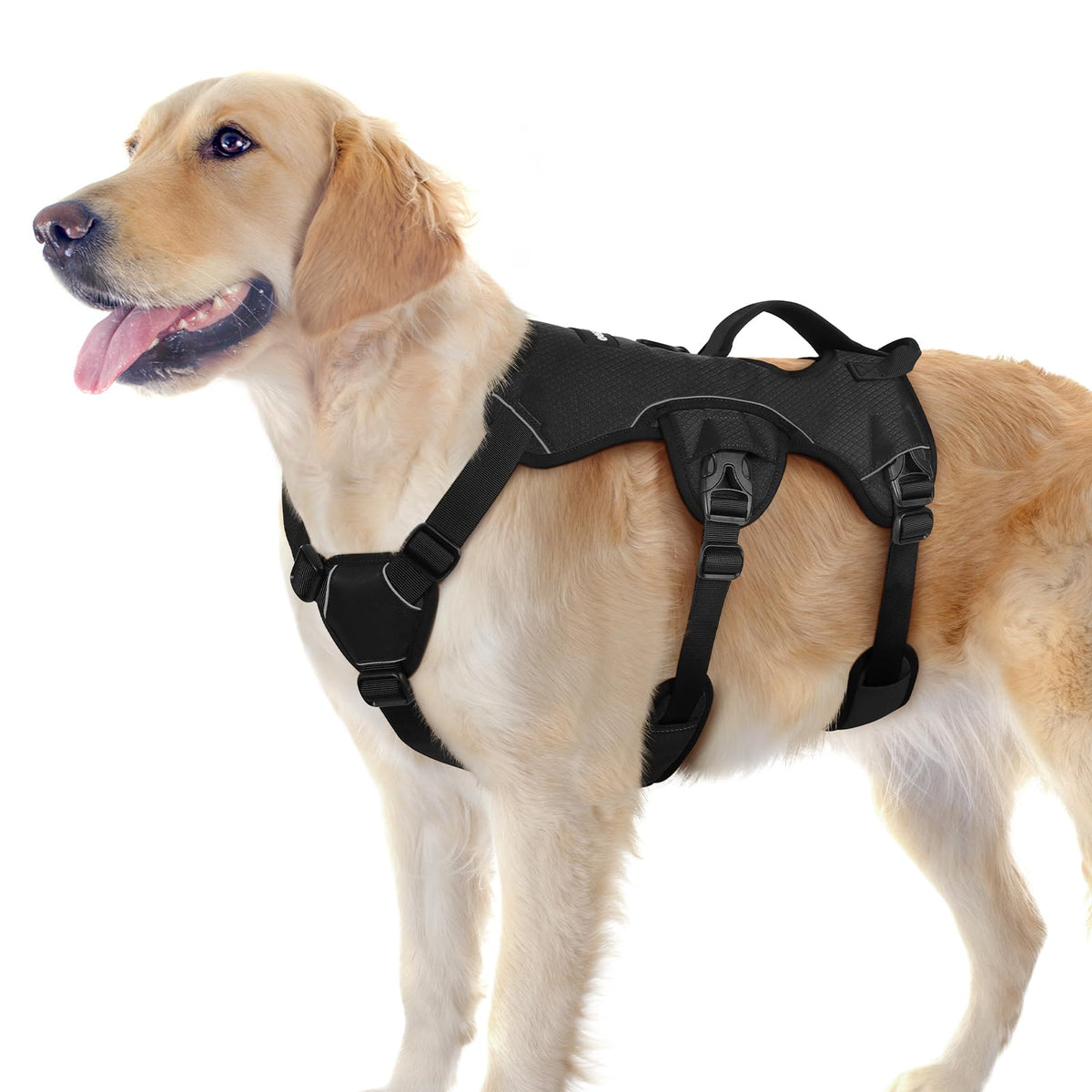 Rabbitgoo Escape-Proof Harness setup demonstrates secure fit for escape-prone large dogs