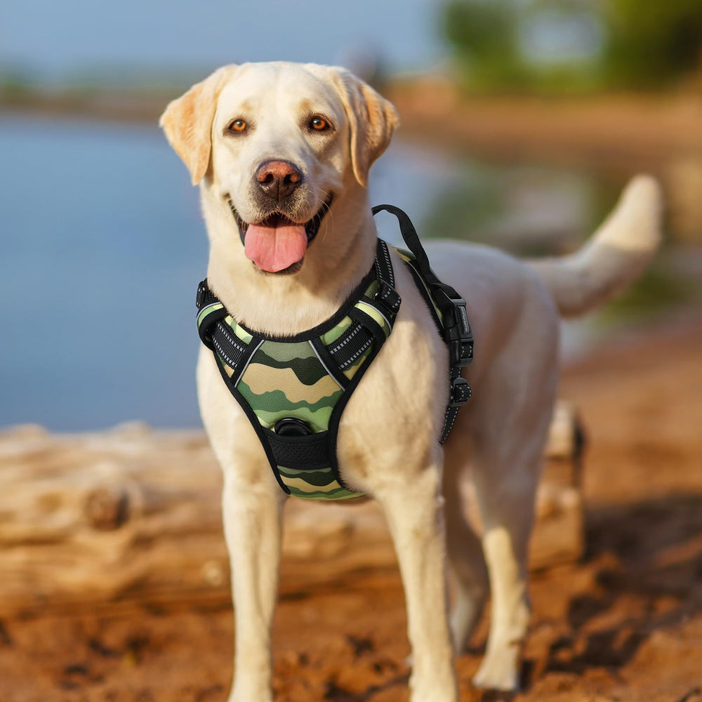 Rabbitgoo Green Mountain adjustable straps create a secure, growing-fitting harness for active dogs.