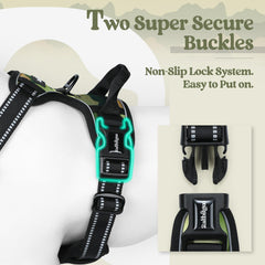 Rabbitgoo Green Mountain back view emphasizes dual leash rings for versatile walking options.