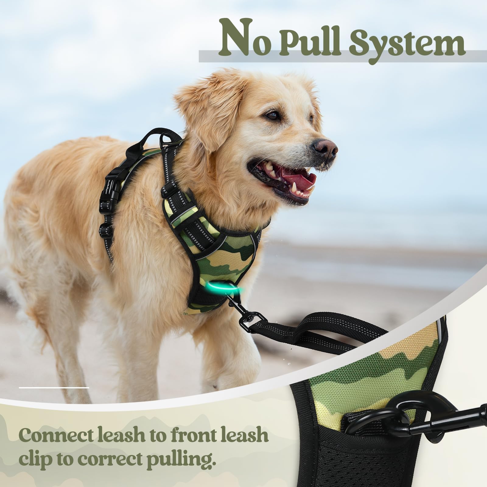 Rabbitgoo Green Mountain padded interior offers soft, comfortable wear on long outdoor sessions.