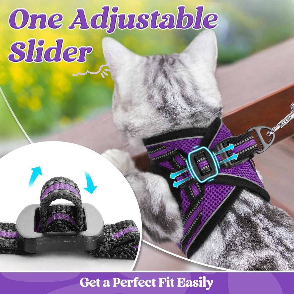Rabbitgoo harness four adjustable straps for growing kittens