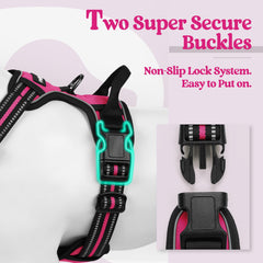 Rabbitgoo hot pink dog harness showing vibrant color for daily adventures