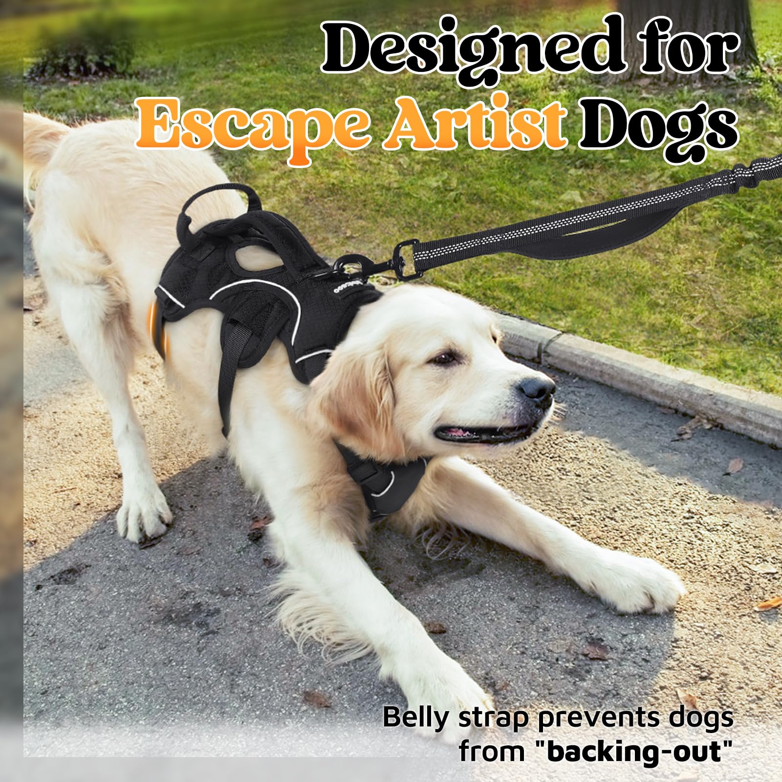 Rabbitgoo Lift Handle on large dog harness provides quick assistance over obstacles