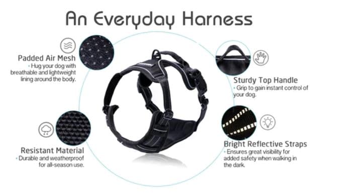 Rabbitgoo no choke vest design with secure fit for safer outings.