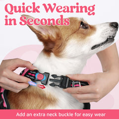 Rabbitgoo no-pull harness in soft air mesh for comfortable all-day wear.