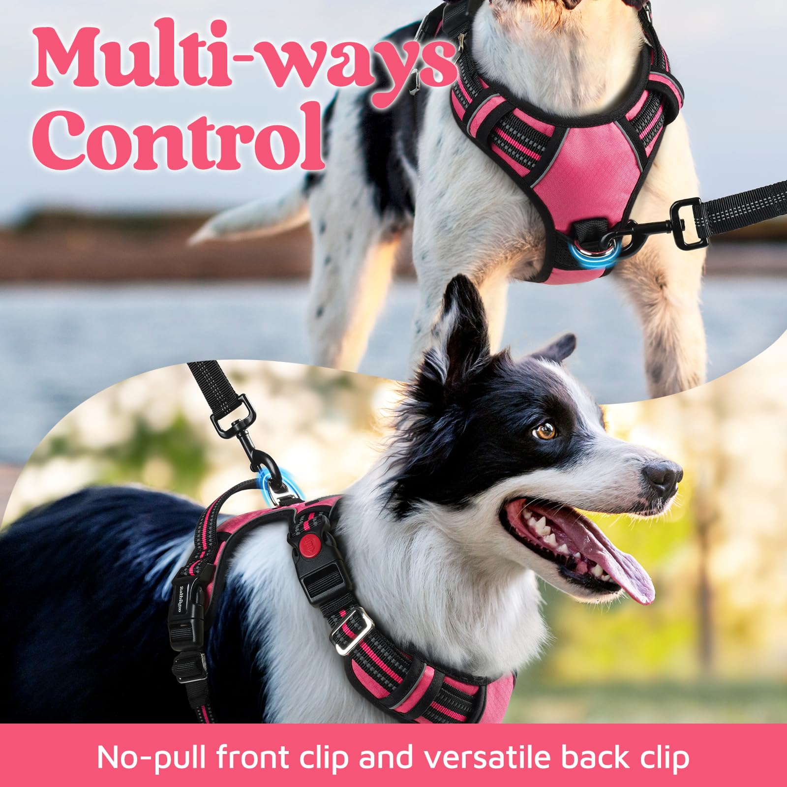 Rabbitgoo padded harness with cushioned shoulders for gentle pet comfort.