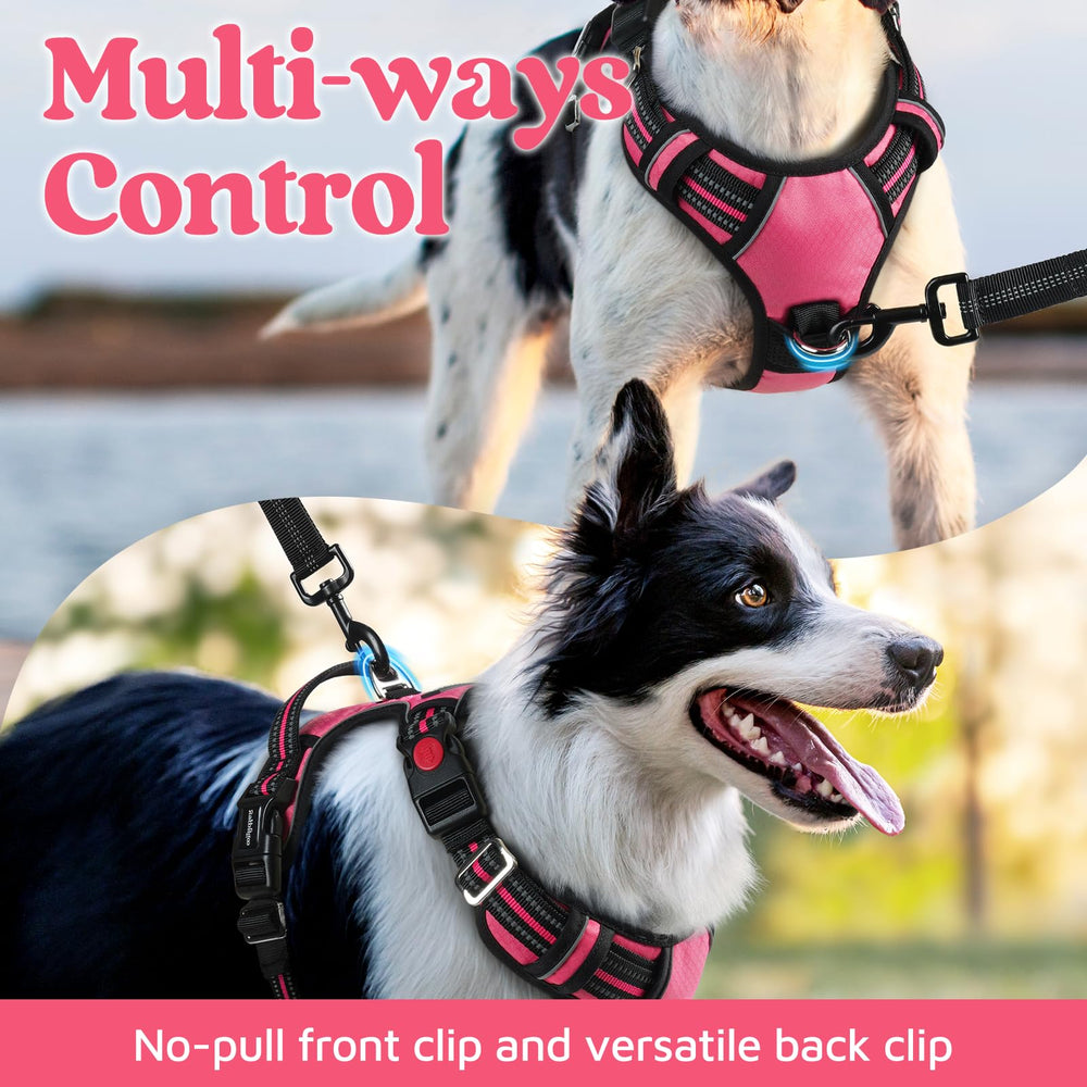 Rabbitgoo padded harness with cushioned shoulders for gentle pet comfort.