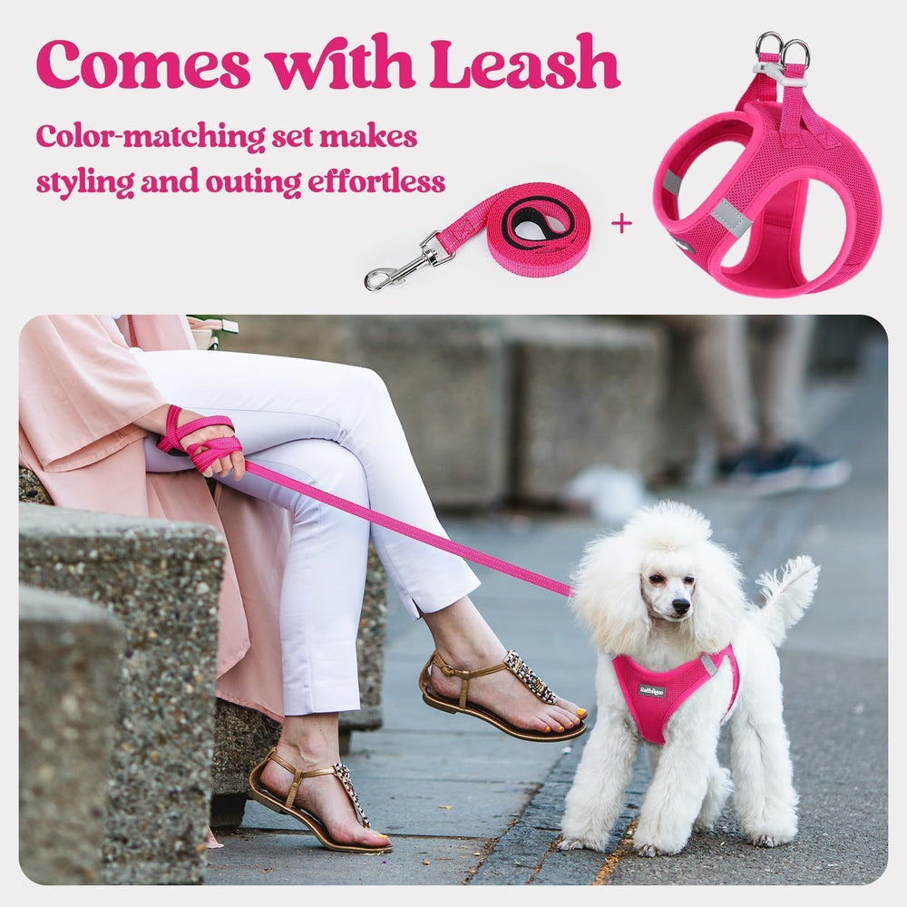 Rabbitgoo palm-friendly leash handle provides comfortable control.