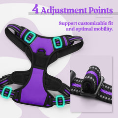 Rabbitgoo reflective strips harness in purple for enhanced visibility.