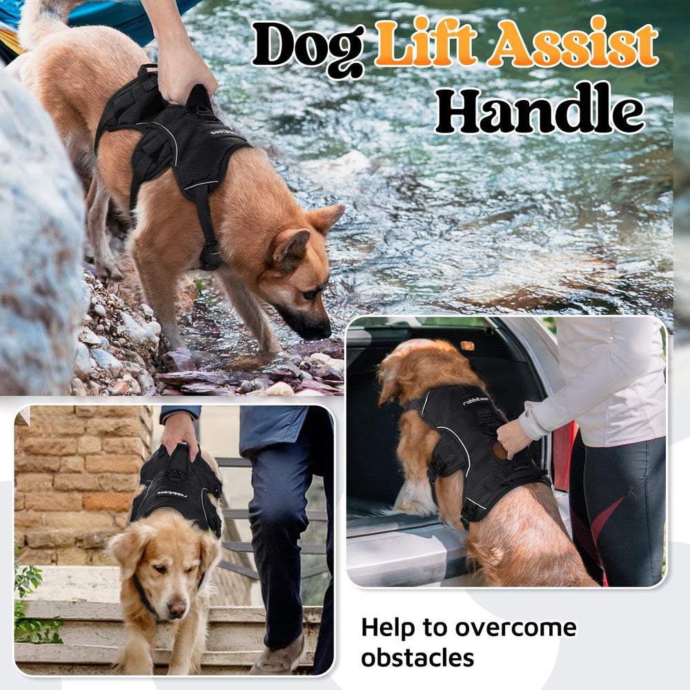 Rabbitgoo Reflective strips enhance visibility during dusk walks for safety