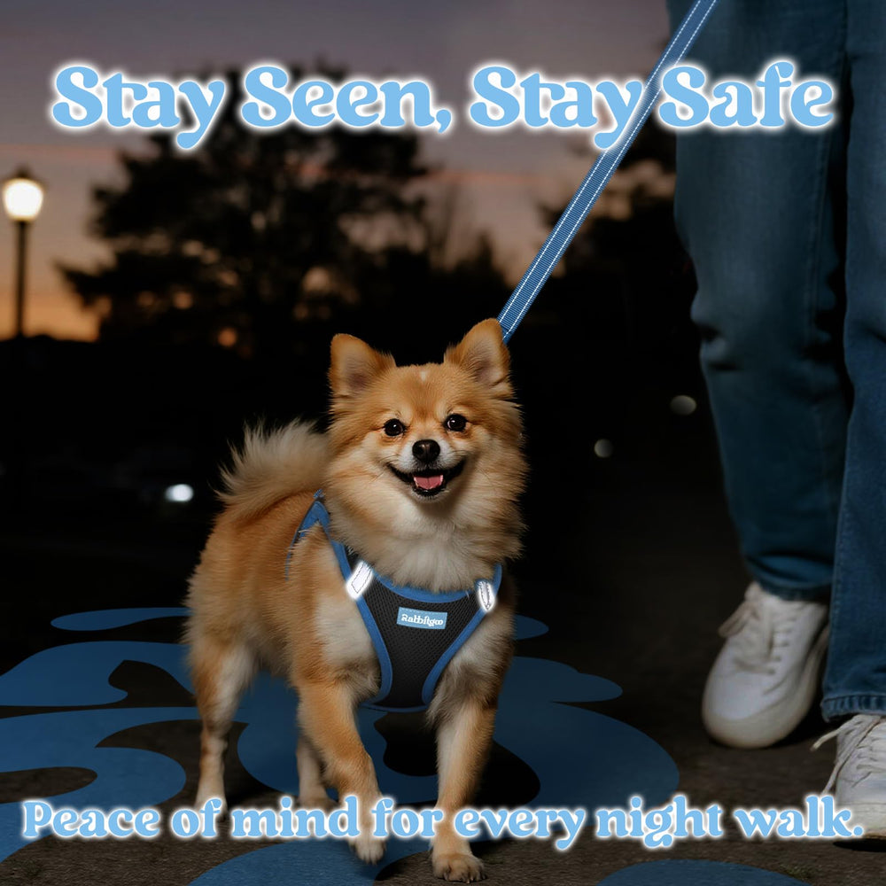 Rabbitgoo reflective strips ensure high visibility for safer night walks.