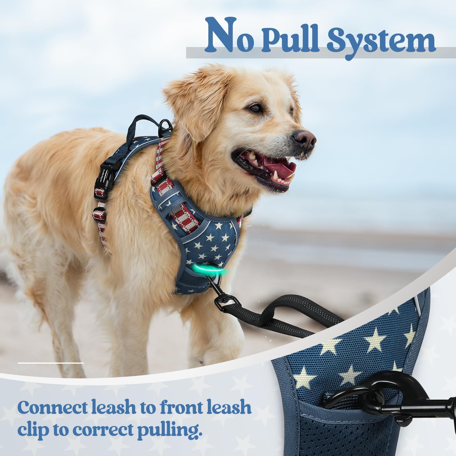 Rabbitgoo reflective trim glows at dusk for safer night-time walks.