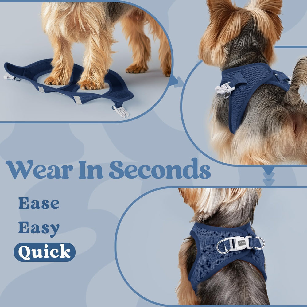 Rabbitgoo small dog harness during walk breathable mesh keeps dog cool