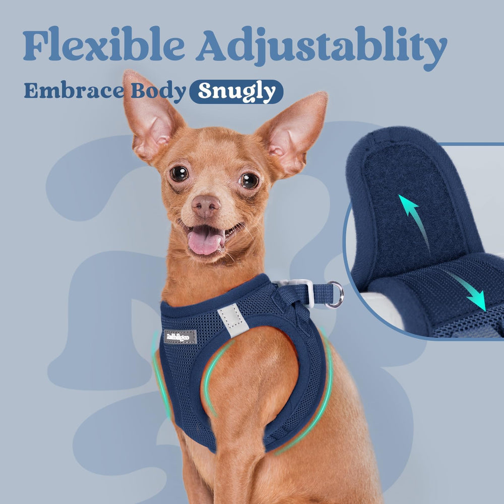 Rabbitgoo small dog harness color variations shows vibrant options