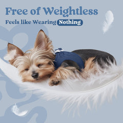 Rabbitgoo small dog harness D-ring reflective strap demonstrates night visibility