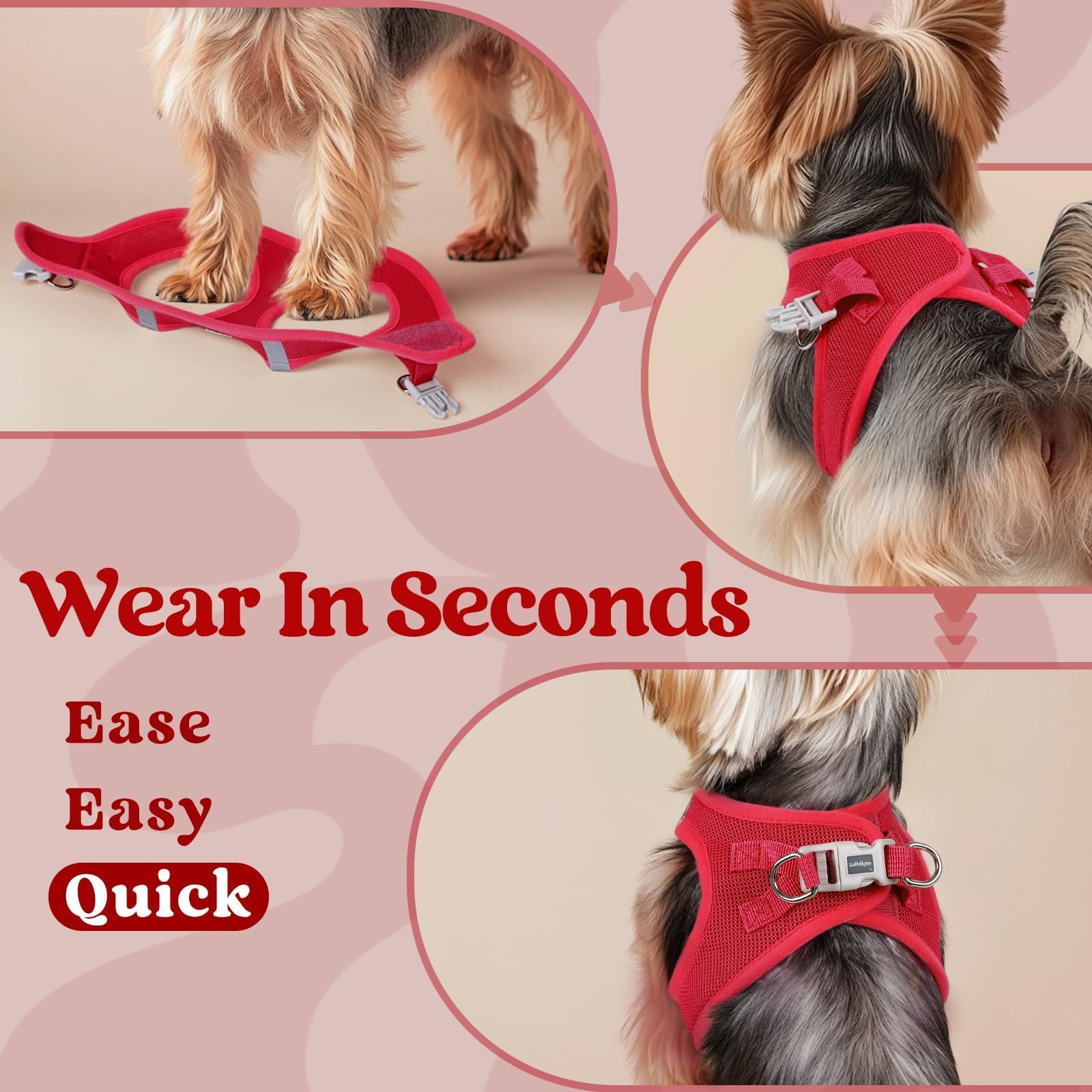 Rabbitgoo small dog harness M red sturdy D-ring leash attachment.