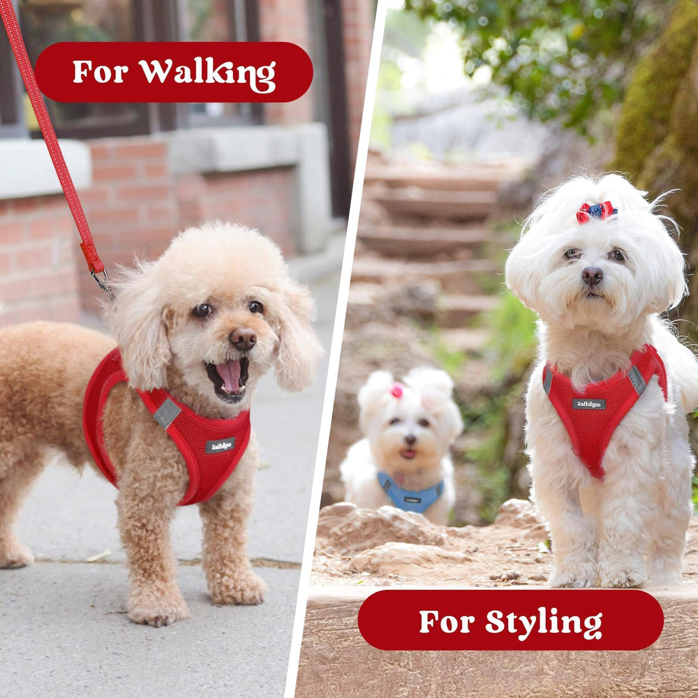 Rabbitgoo small dog harness M red model wearing during a walk.