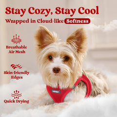 Rabbitgoo small dog harness M red quick-dry fabric ideal for all weather.