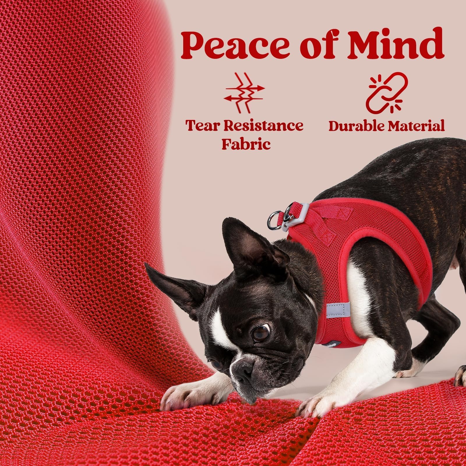 Rabbitgoo small dog harness M red includes safety buckle for secure walks.