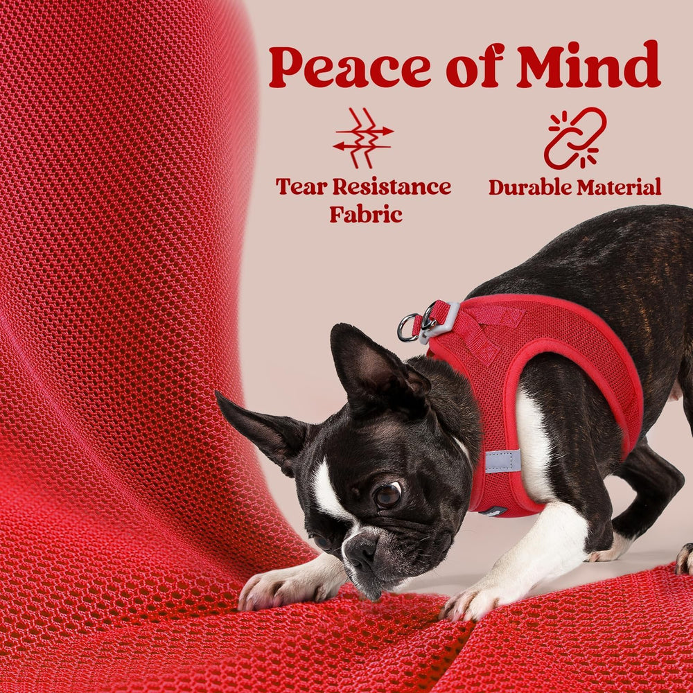 Rabbitgoo small dog harness M red includes safety buckle for secure walks.