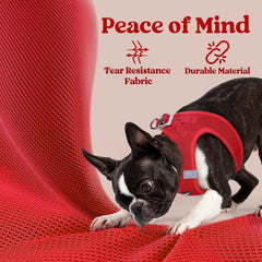 Rabbitgoo small dog harness M red includes safety buckle for secure walks.