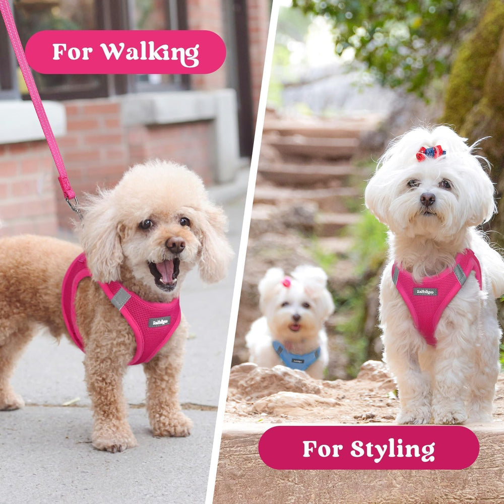 Rabbitgoo small dog harness rose red care and quick-dry cleaning