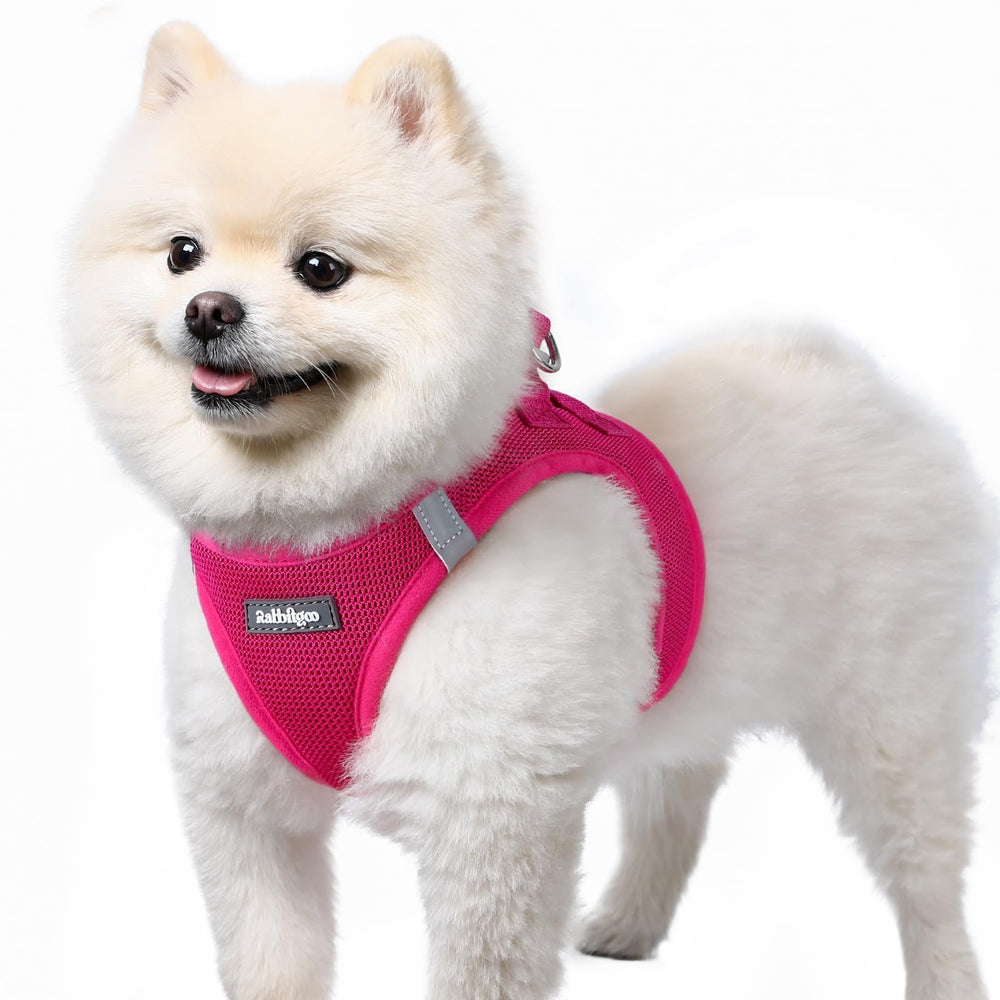 Rabbitgoo small dog harness rose red front view shows visibility and comfort on daily walks.