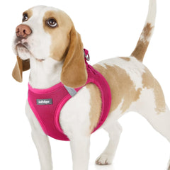 Rabbitgoo small dog harness rose red front view showing secure, comfy fit for daily walks