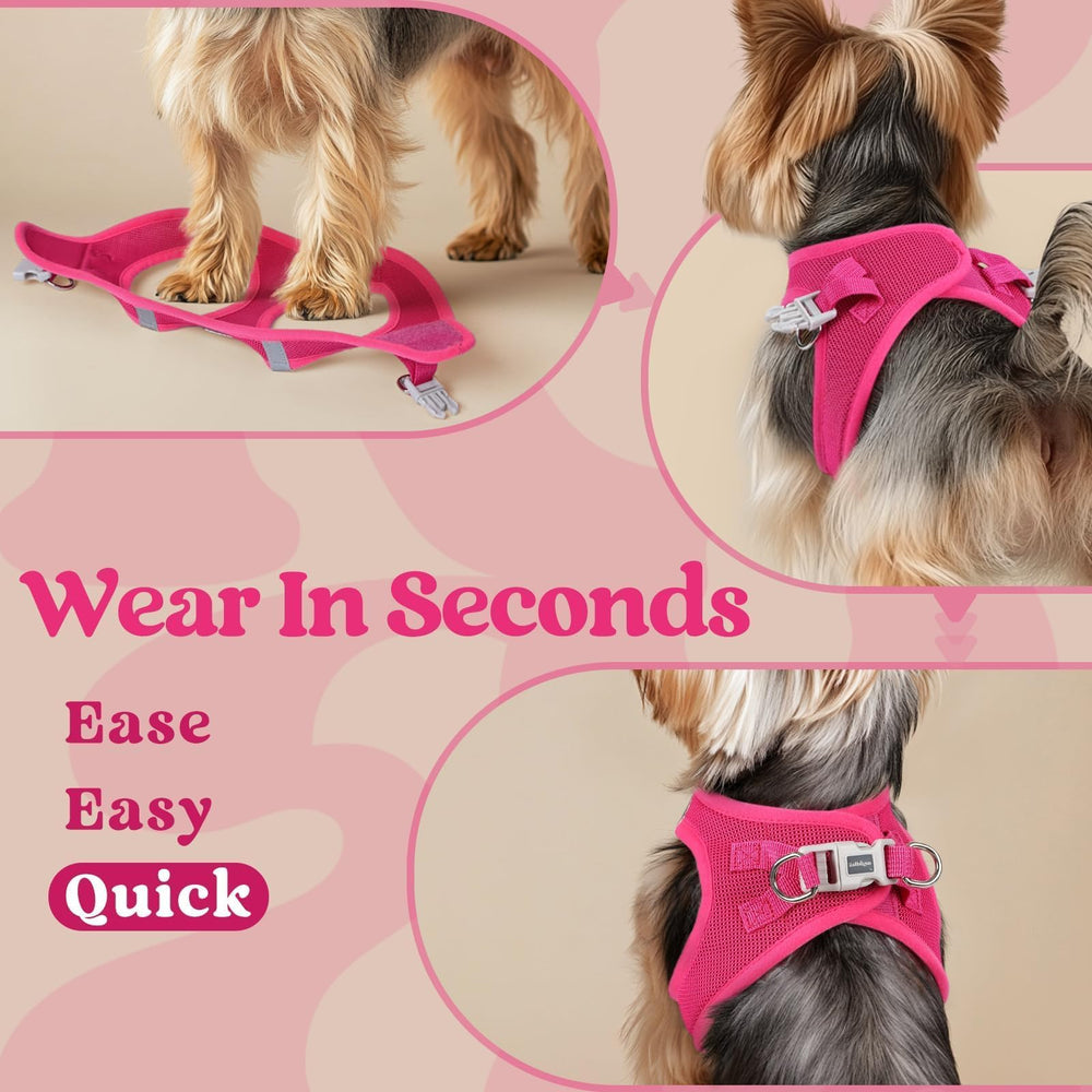 Rabbitgoo small dog harness rose red safety buckle and closures prevent escapes