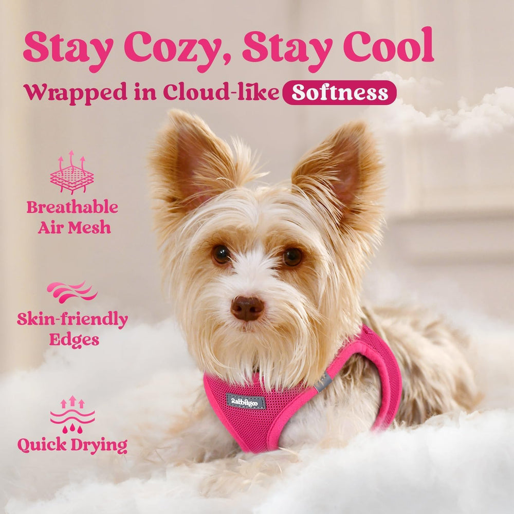 Rabbitgoo small dog harness rose red soft air mesh for breathable comfort