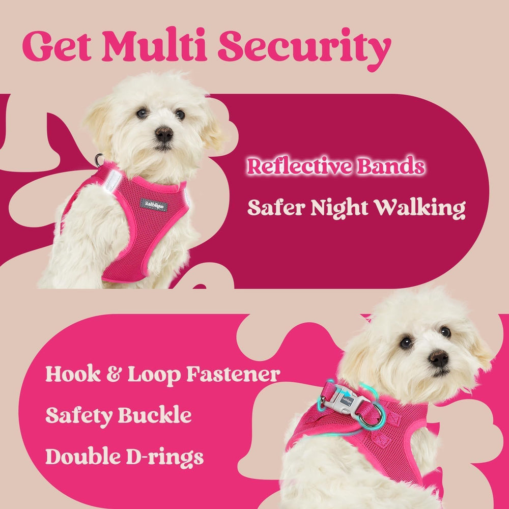 Rabbitgoo small dog harness rose red travel and walk usage