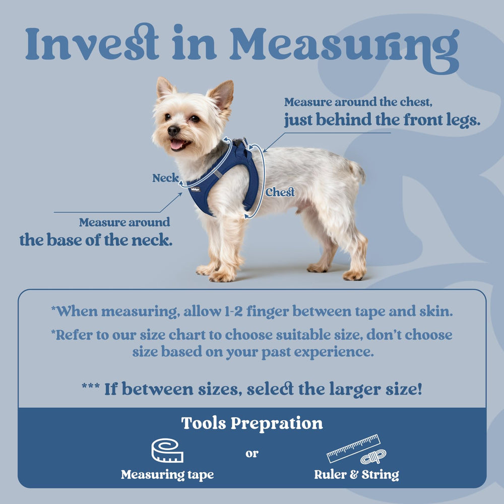 Rabbitgoo small dog harness safety buckle closeup highlights secure fitting