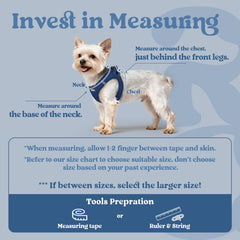 Rabbitgoo small dog harness safety buckle closeup highlights secure fitting