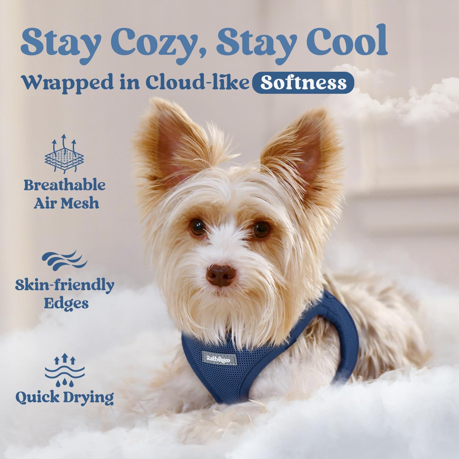 Rabbitgoo small dog harness step in closeup demonstrates quick on boarding