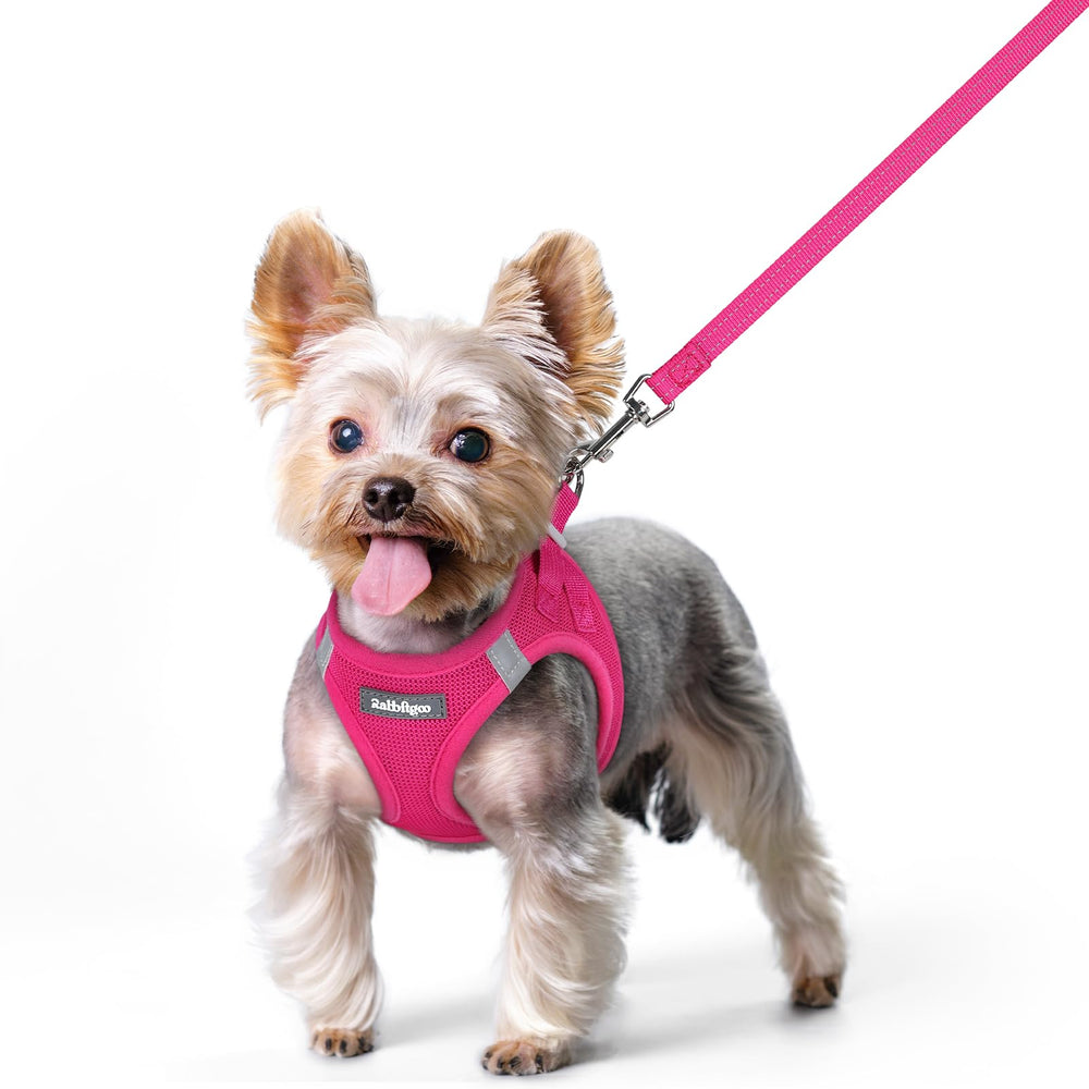 Rabbitgoo rose-red XS step-in harness with easy-on, secure fit for small dogs.