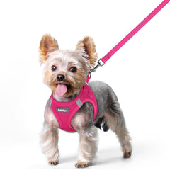 Rabbitgoo rose-red XS step-in harness with easy-on, secure fit for small dogs.