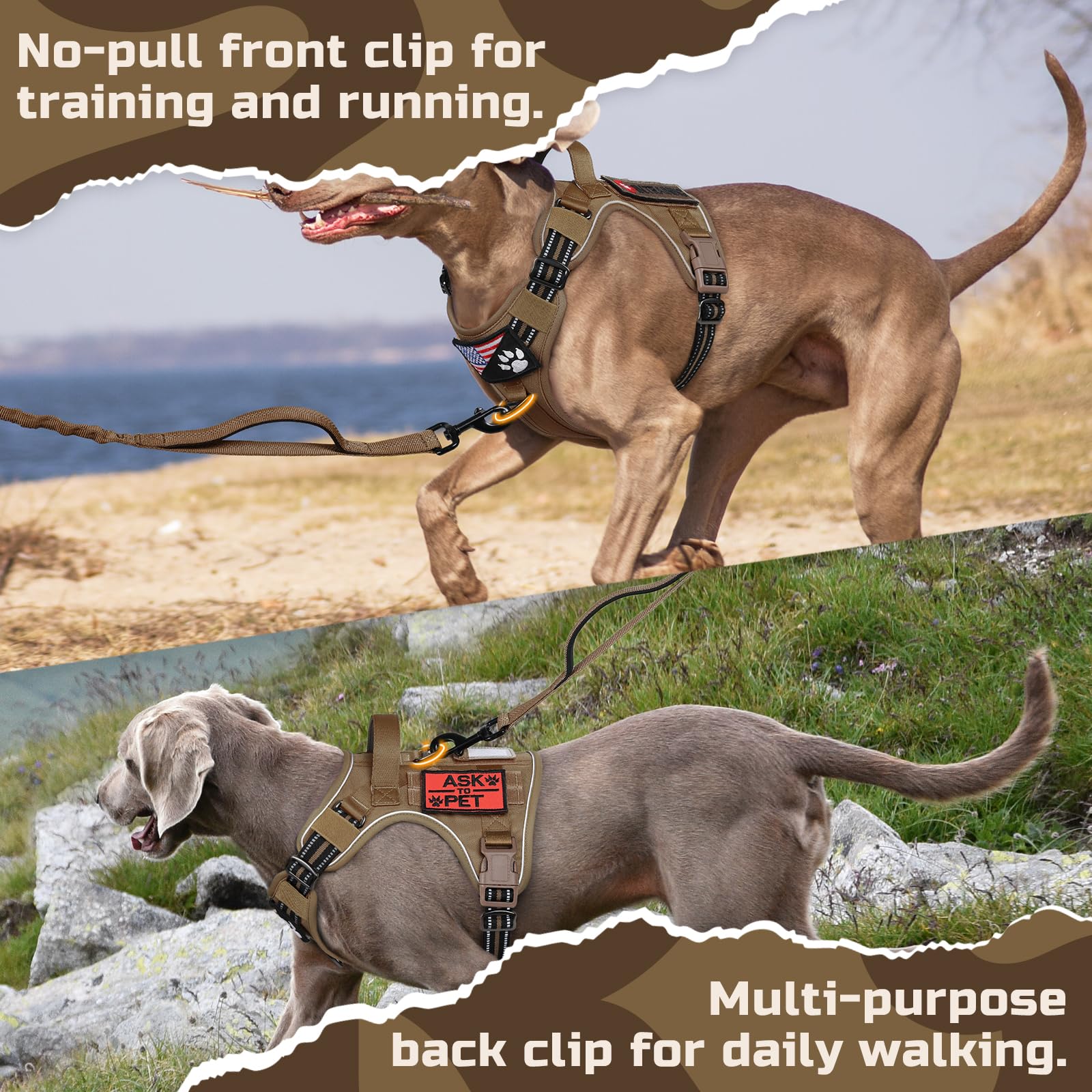 Rabbitgoo harness front-clip no-pull feature demonstrated for training sessions