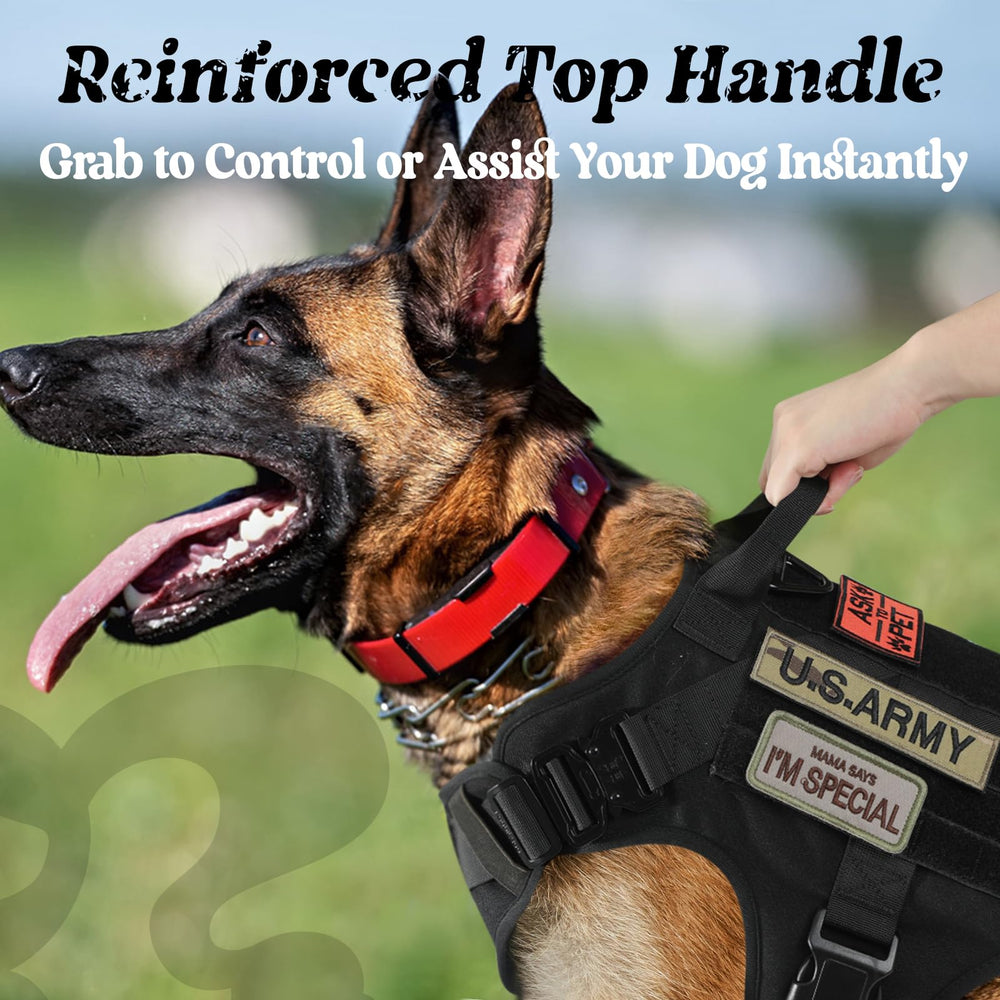Rabbitgoo Tactical Harness belly area close-up demonstrates secure belly strap and fit.