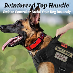 Rabbitgoo Tactical Harness belly area close-up demonstrates secure belly strap and fit.