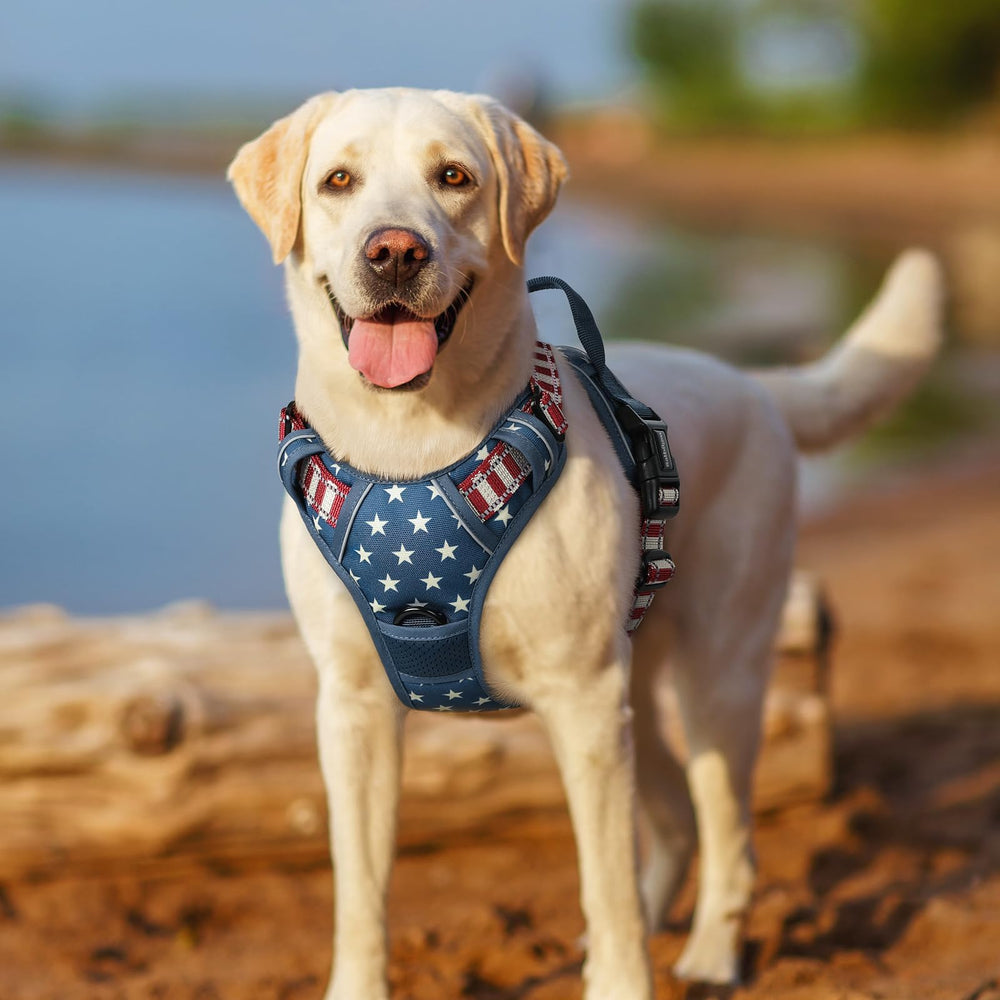 Rabbitgoo top-handle design offers extra control during walks.