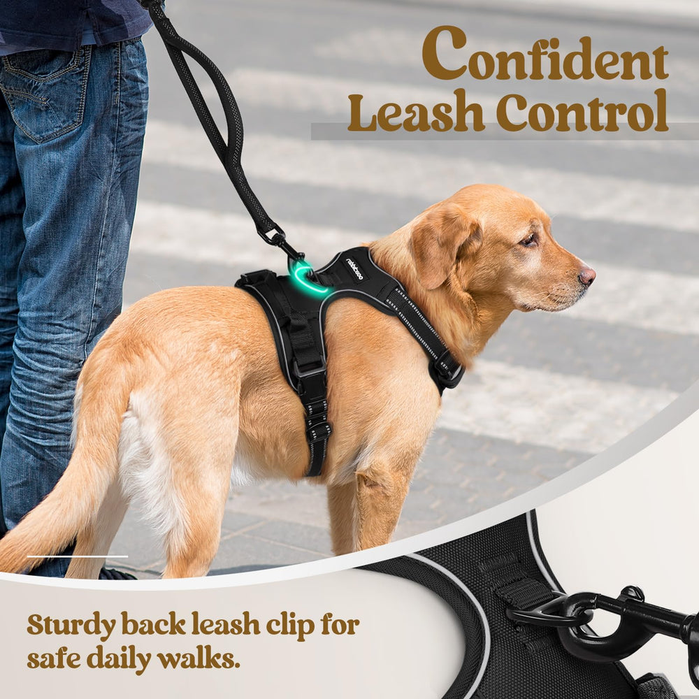 Rabbitgoo top handle control for precise leash guidance on daily walks.