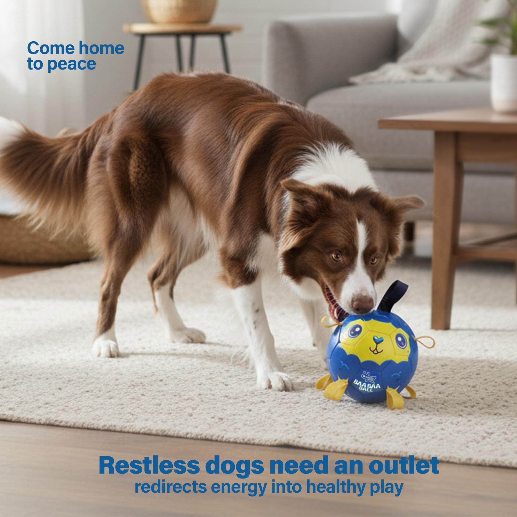 Race&Herd 8in Jolly Soccer Ball blue with tags—great for water fetch.