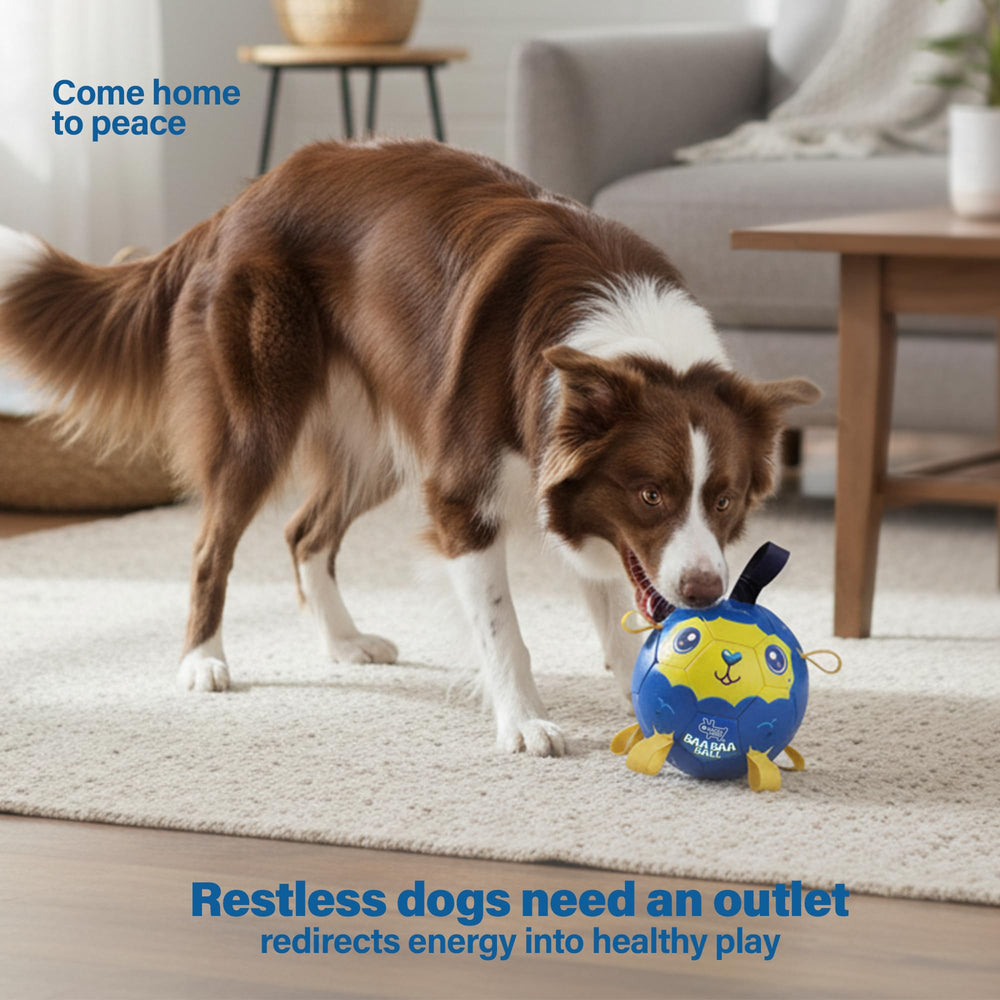 Race&Herd 8in Jolly Soccer Ball blue with tags—great for water fetch.