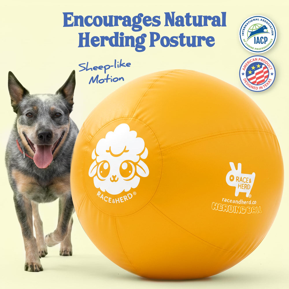Race&Herd giant dog ball for outdoor play; perfect for fetch and training in open spaces.