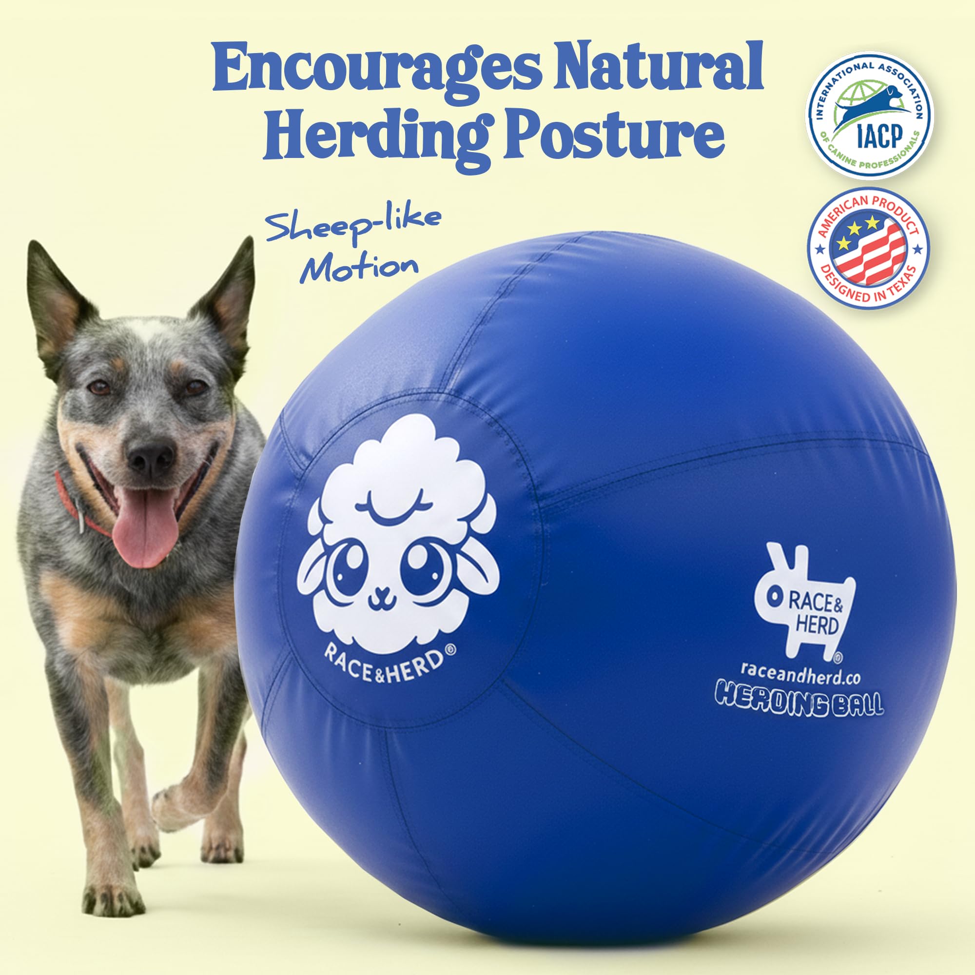 Race&Herd durable rubber close-up blue for long-lasting fetch and training