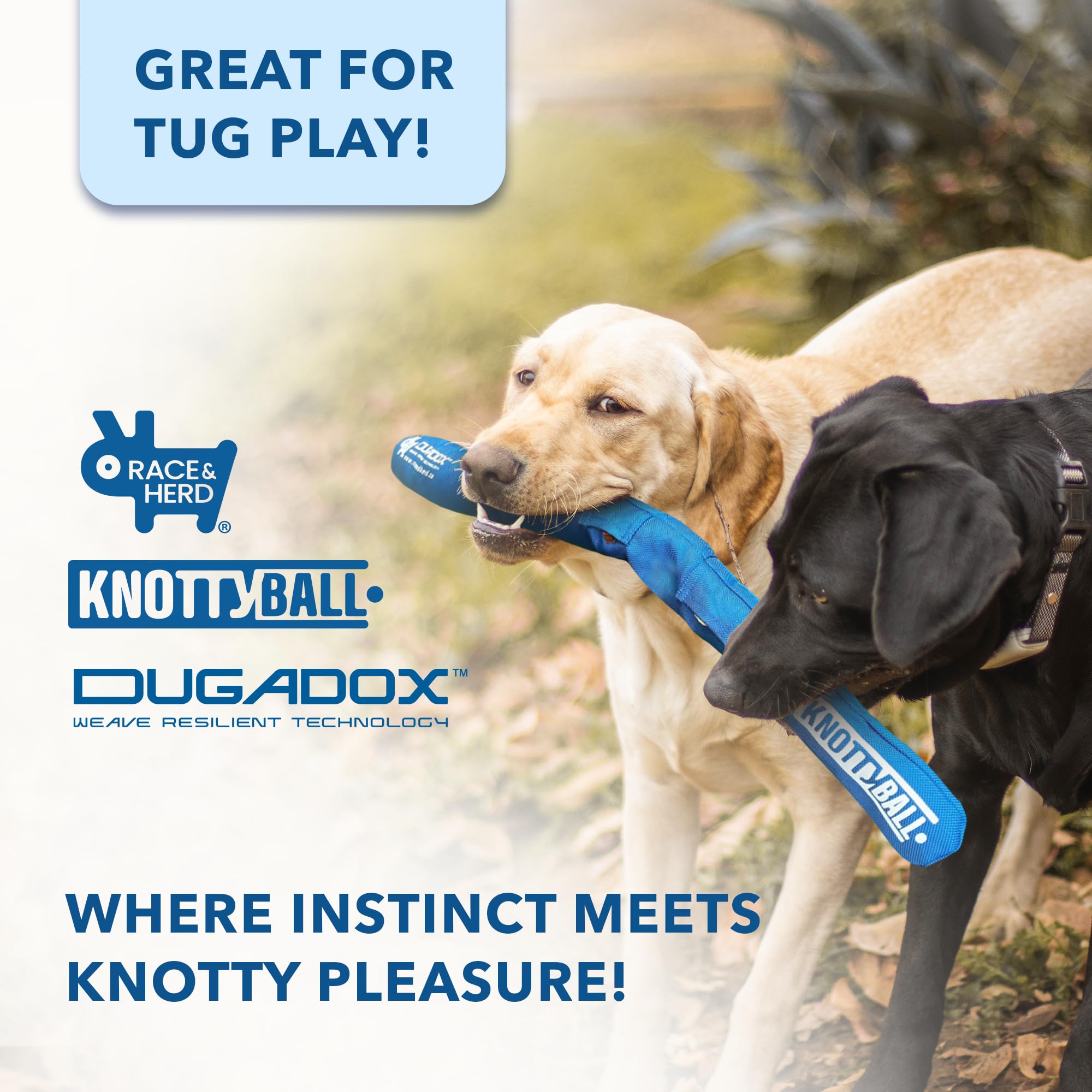Race&Herd KnottyBall snuffle-ball design invites sniffing-based foraging.