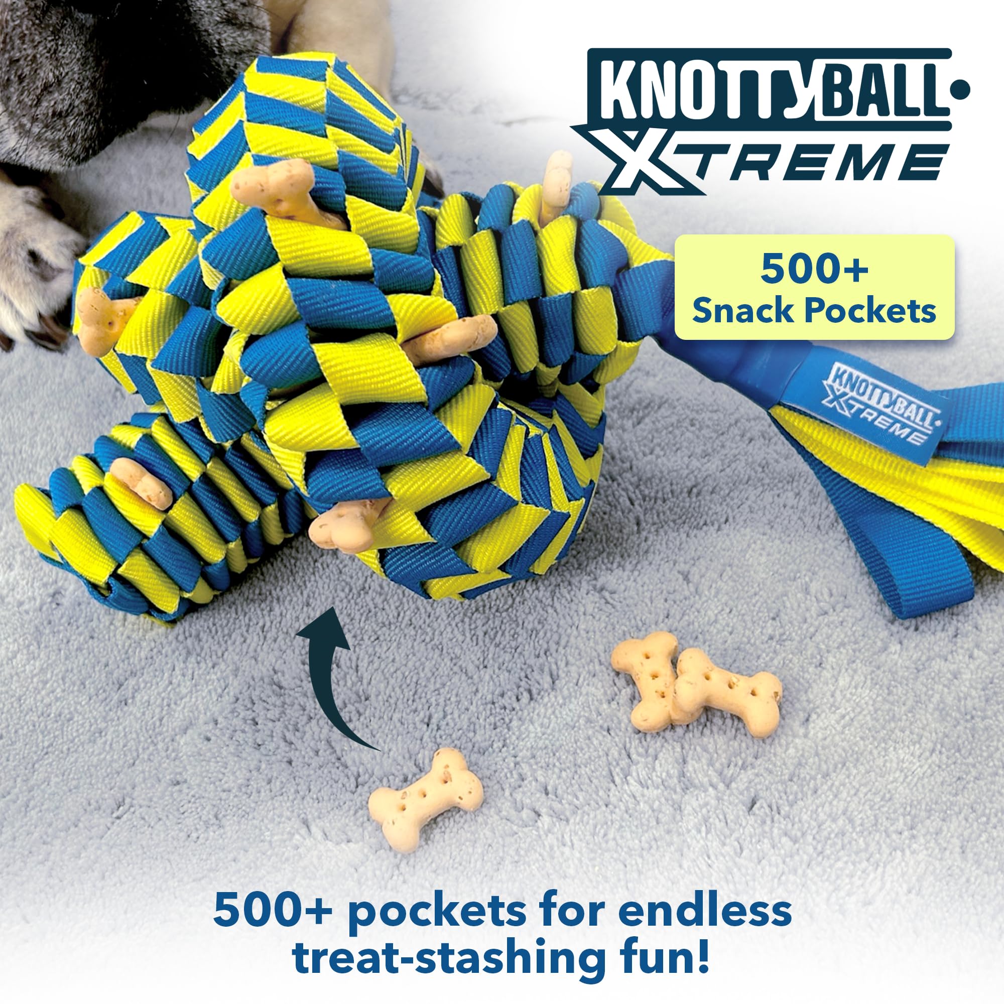 Race&Herd KnottyBall Xtreme action showing dog sniffing and solving puzzles