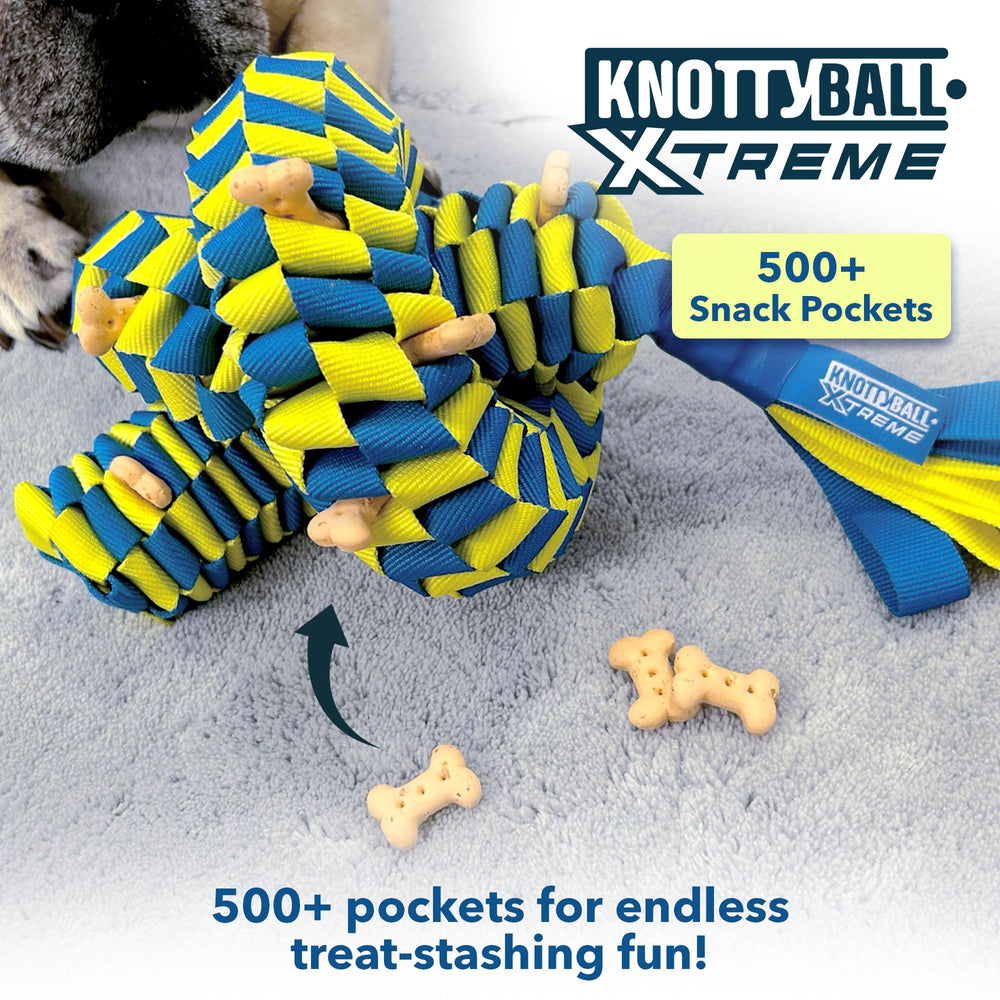 Race&Herd KnottyBall Xtreme action showing dog sniffing and solving puzzles