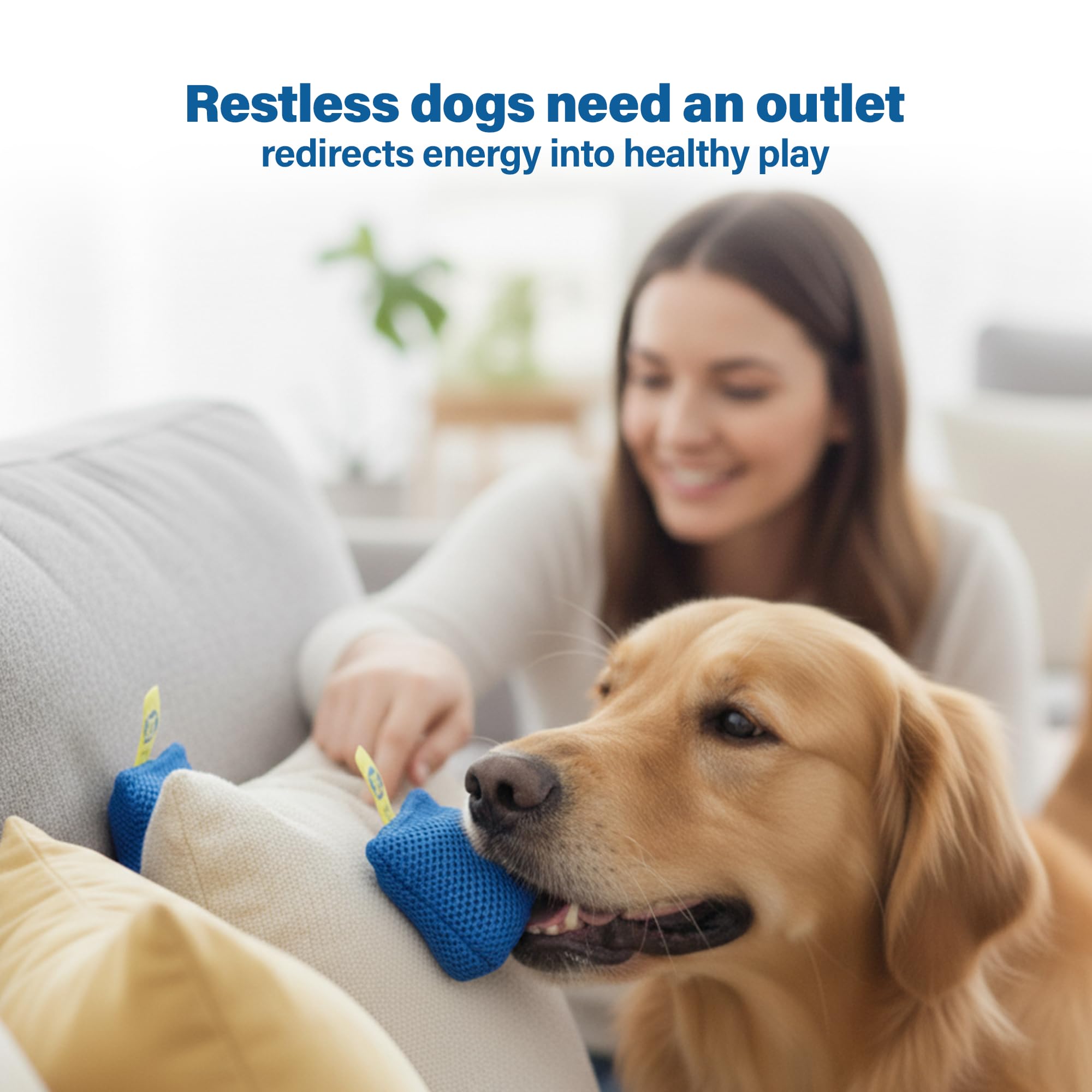 Race&Herd Original Dog Scent Training Kit brain games for cognitive fun.